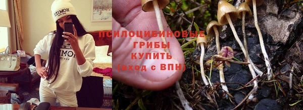ПСИЛОЦИБИНОВЫЕ ГРИБЫ Алексин